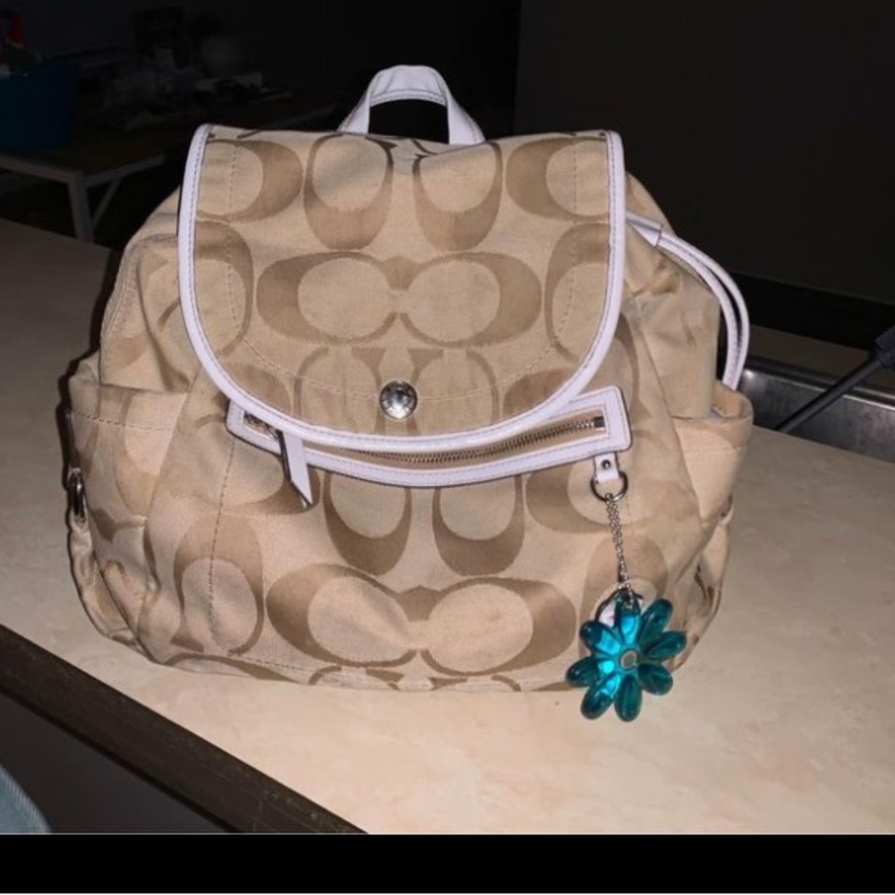 Coach Bag- Has been hand washed since but currently in storage.